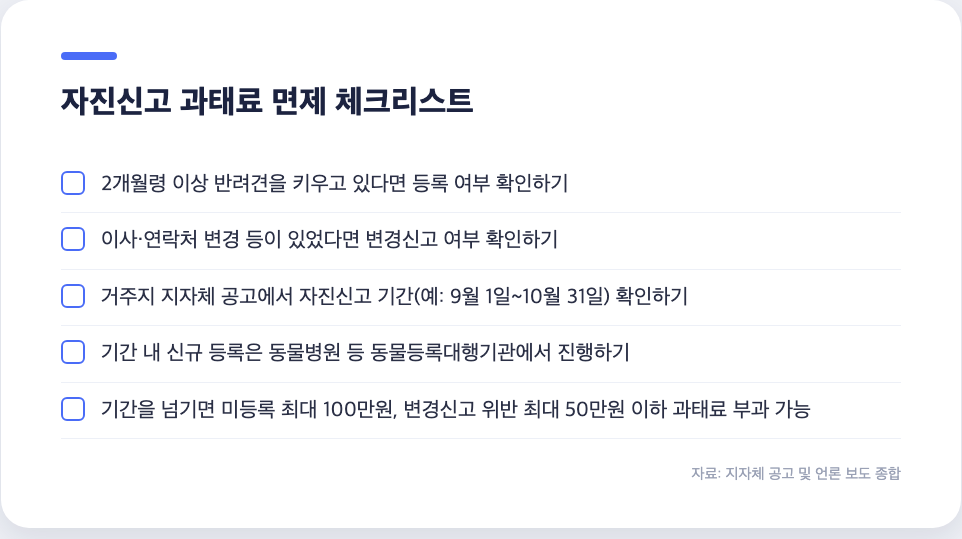 동물등록 자진신고 과태료 면제 체크리스트 등록 여부 변경신고 확인 항목 정리